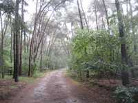 A1160 Strijbeek Hondsdonk Valkenberg 039 Meer GPS wandelingen kunt u vinden op  www.gpswalking.nl